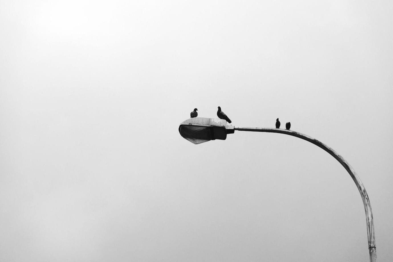 Difference Between Fixed and Adjustable Lux Photo Controls