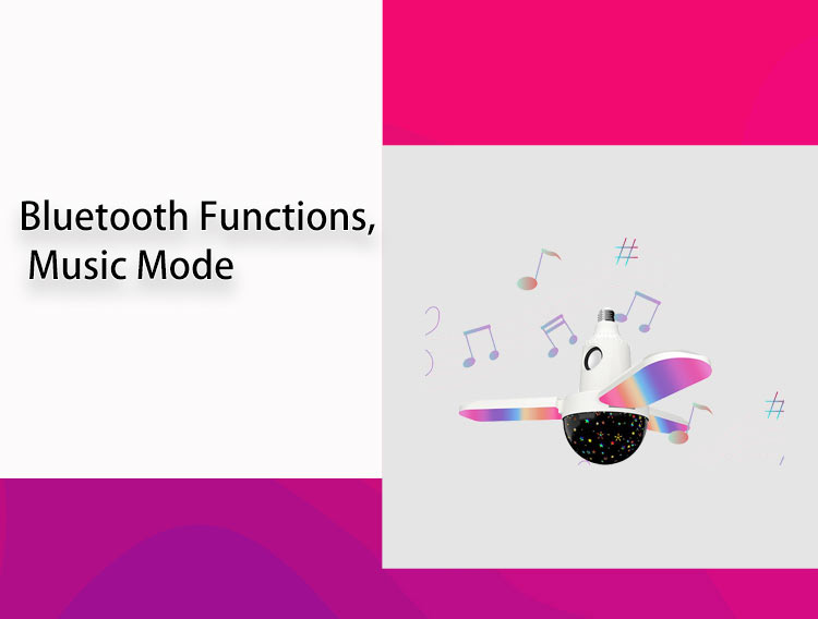 பெரிய-4-இலை-இசை ரசிகர்-லாம்_10