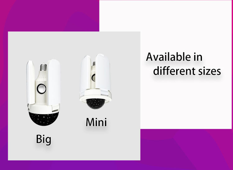 பெரிய-4-இலை-இசை ரசிகர்-லாம்_11